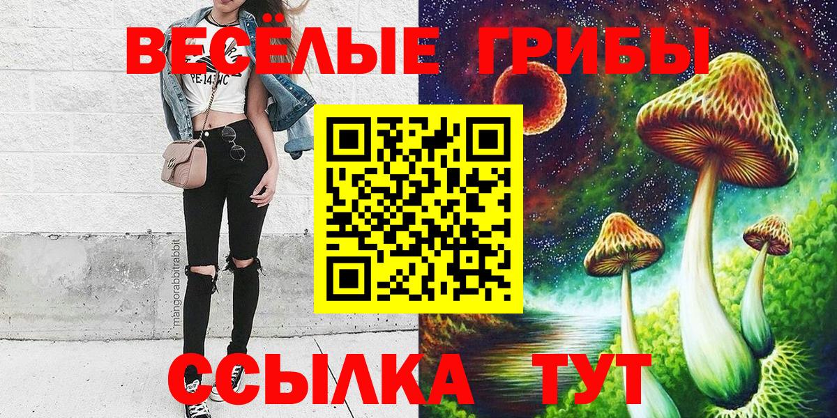 Галлюциногенные грибы Psilocybine cubensis Краснознаменск