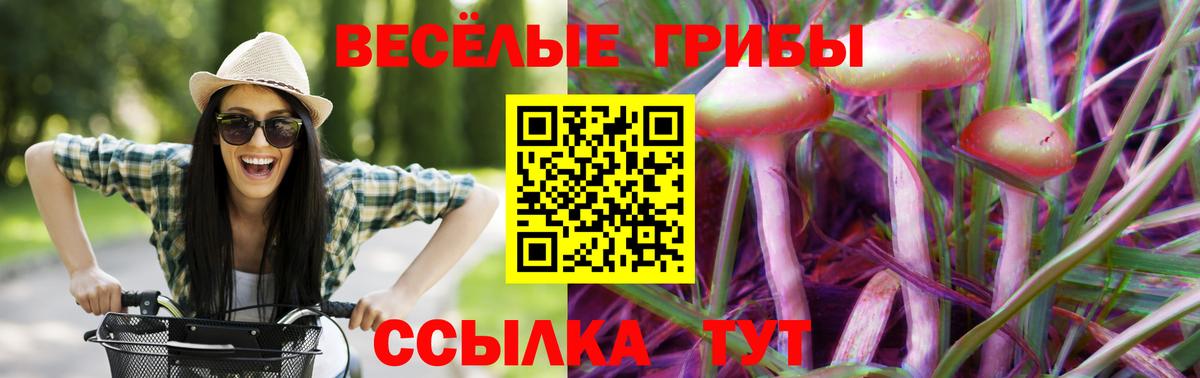 Краснознаменск  Галлюциногенные грибы Magic Shrooms  Вход с VPN 